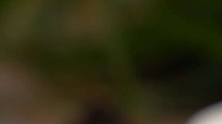 marquis de chocolate