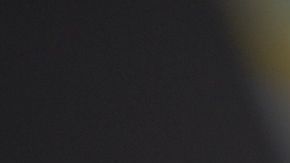 lasaña vegana de espinacas y champiñones