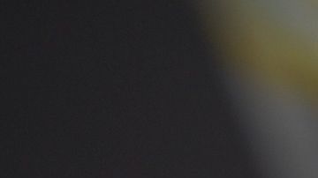 lasaña vegana de espinacas y champiñones