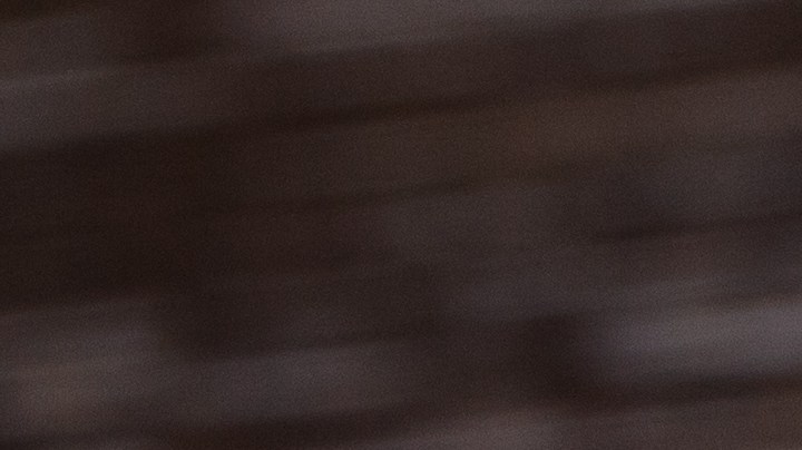 Marquesa de vainilla