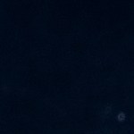 Cabracho con mejillones