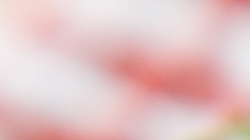 Cebollas rellenas de mariscos