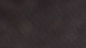 t-bone a la plancha con espárragos