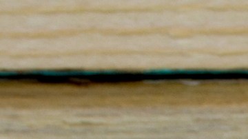 tomates rellenos de jamón