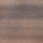 t-bone con ajo y tomillo