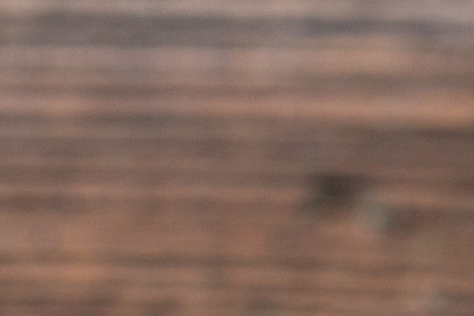 T-bone con ajo y tomillo