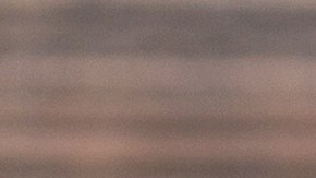 t-bone con ajo y tomillo