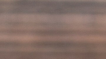 t-bone con ajo y tomillo