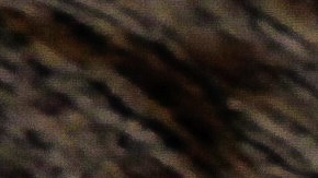 Tacos dorados de atún