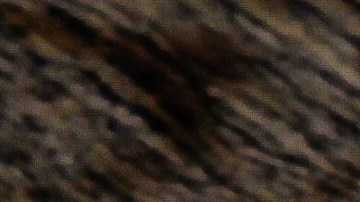 Tacos dorados de atún