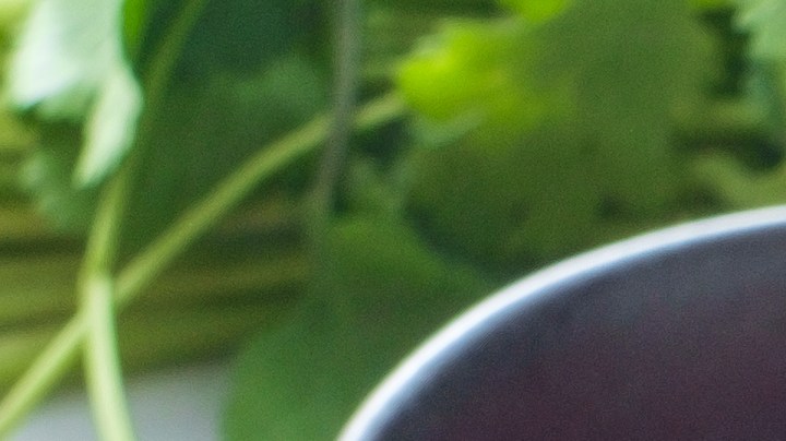 tacos dorados de queso