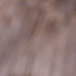 Tomates rellenos de huevo y queso