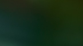 Tomates rellenos de quinoa