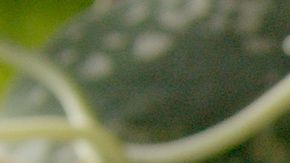 pisto de verduras y huevo