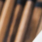 Alambre de res con champiñones