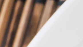 Alambre de res con champiñones