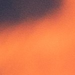 Un plato con alambre de res con queso, salsas y decorado con verduras alrededor