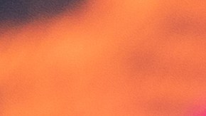 Un plato con alambre de res con queso, salsas y decorado con verduras alrededor