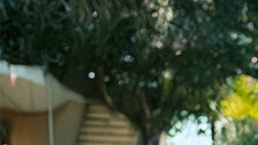 Créditos: JENNIE-O® Brand