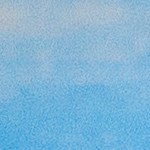 flauta de calabacitas