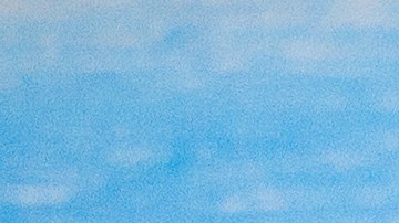 flauta de calabacitas