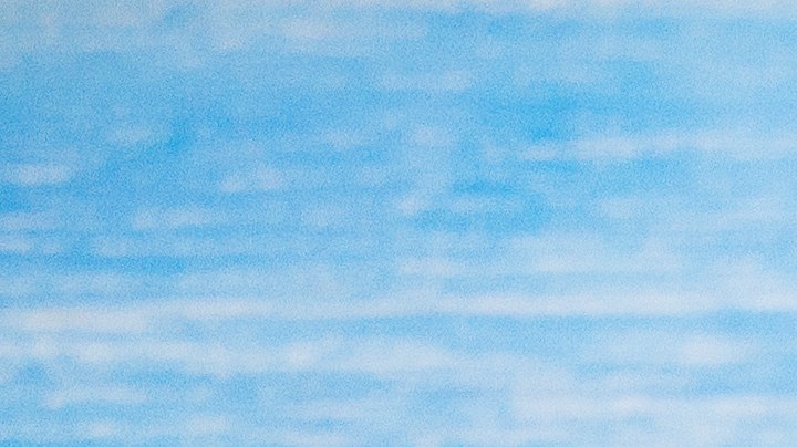 flauta de calabacitas