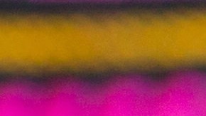 Un plato con flautas de carnitas, salsas clásicas y lechuga