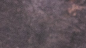 Plato de comida con flautas de papas, decorados con crema, lechuga y queso