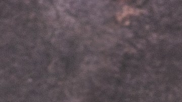 Plato de comida con flautas de papas, decorados con crema, lechuga y queso