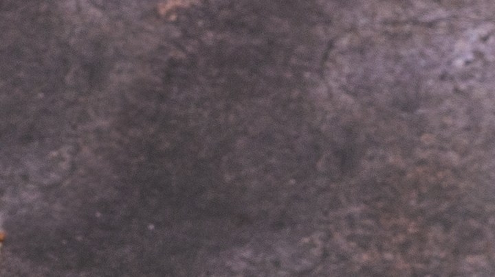 Plato de comida con flautas de papas, decorados con crema, lechuga y queso