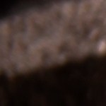 Un plato con porciones de flautas de res con salsas