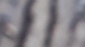 Milanesa de pollo empanizada con huevo frito