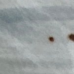 Milanesa de pollo empanizada con salsa de chipotle