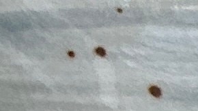 Milanesa de pollo empanizada con salsa de chipotle