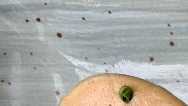 Milanesa de pollo empanizada con salsa de chipotle