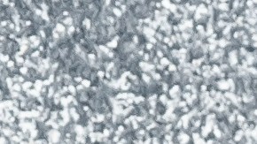 Sartén con osobuco a la gremolata