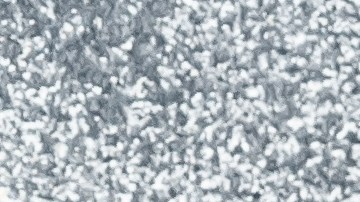 Sartén con osobuco a la gremolata