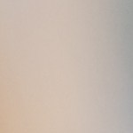 Un plato con osobuco sobre una cama de polenta, hojas de menta y tomates