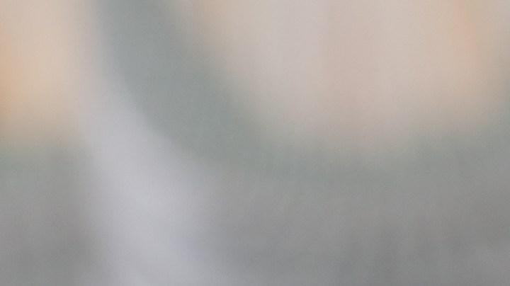 Un plato con osobuco sobre una cama de polenta, hojas de menta y tomates