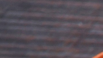 Osobuco con puré de papas