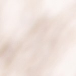 Sartén con osobuco con zanahorias y apio