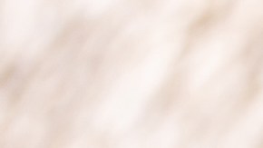 Sartén con osobuco con zanahorias y apio