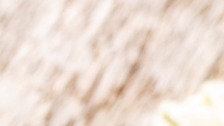 Sartén con osobuco con zanahorias y apio