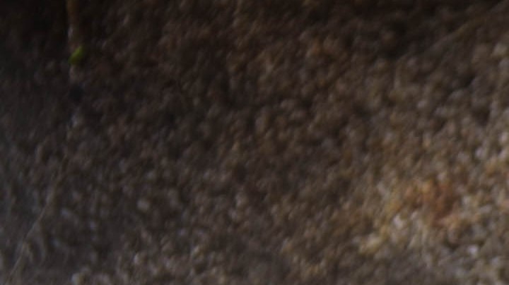 Pechuga de pollo a la plancha con salsa de coco