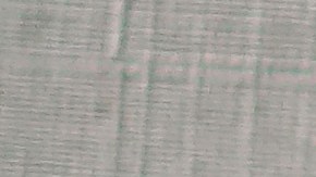 Plato con pechuga de pollo en salsa de mango en una mesa decorada