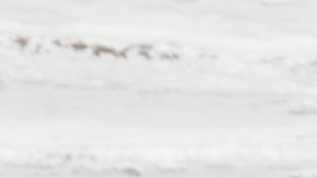 Plato con pechuga de pollo con salsa de mostaza Dijon y una ensalada verde