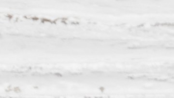 Plato con pechuga de pollo con salsa de mostaza Dijon y una ensalada verde