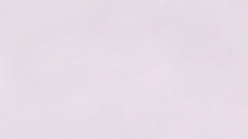 Pechugas de pollo a la plancha con salsa de soja y miel