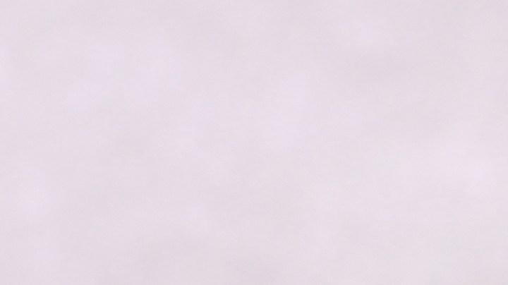 Pechugas de pollo a la plancha con salsa de soja y miel