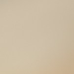 Pechugas de pollo a la plancha con salsa de yogur y curry